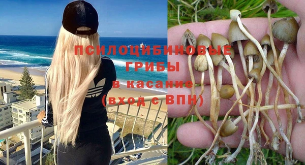 скорость Белокуриха