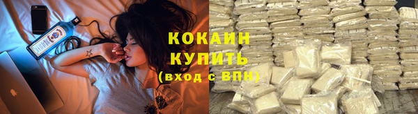 прущие грибы Белоозёрский