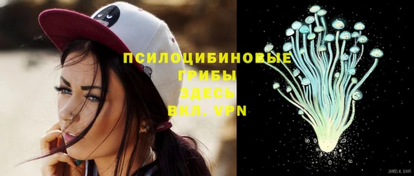 скорость Белокуриха
