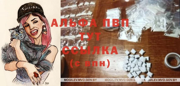 скорость Белокуриха