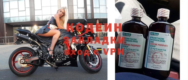 прущие грибы Белоозёрский