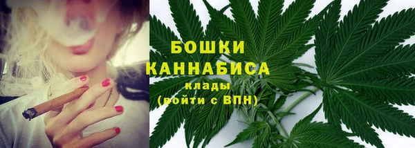 прущие грибы Белоозёрский