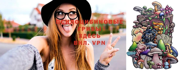 прущие грибы Белоозёрский
