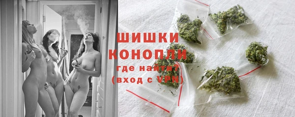 прущие грибы Белоозёрский
